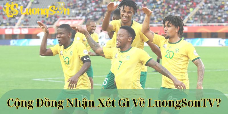 Cộng đồng nhận xét gì về luongsontv?